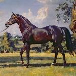 Son in Law<br /><i>art: Alfred James Munnings, 1927r.</i>