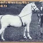 Bleddfa Shooting Star