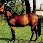 Kwartet ex Quatuor Charriere - Kwartet<br />&copy; Skrzypiec Jarosław