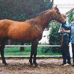Kwartet ex Quatuor Charriere
