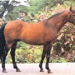 Kwartet ex Quatuor Charriere