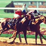 Alydar