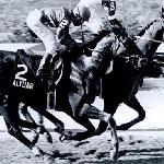 Alydar