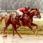 Alydar