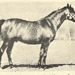 Wielki Szlem