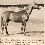 Wielki Szlem