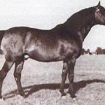 Witraż