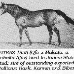 Witraż