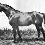 Witraż