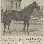 Witraż