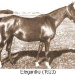 Elegantka