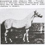 Bakszysz