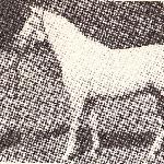 Waćpan