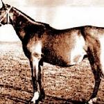 Mammona