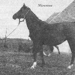 Mammona