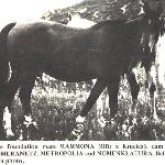 Mammona