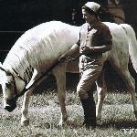 Negatiw - Izabella Pawelec-Zawadzka z Negatiwem. Janów Podlaski 1967