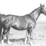 Czatanoga