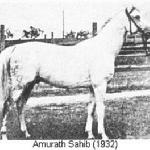 Amurath Sahib