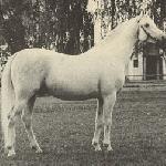 Aquinor