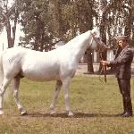 Aquinor