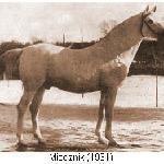 Miecznik