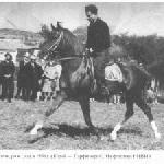 Knippel