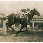 Man o'War