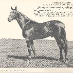 Man o'War