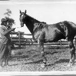 Man o'War