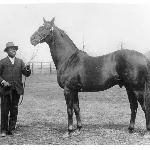 Man o'War