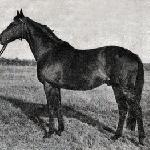 Negresco