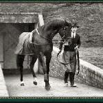Nearco - Nearco wyprowadzany ze specjalnie zbudowanego dla niego podziemnego schronu przeciwbombowego podczas II wojny światowej w Beech House Stud, Newmarket, Wielka Brytania.
