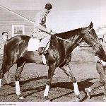 Bold Ruler