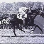 Bold Ruler