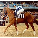 Secretariat