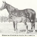 Ciboulette