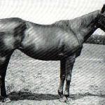 Alcibiades