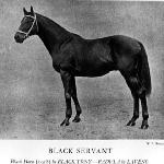 Black Servant