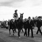 Nijinsky II