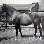 Hyperion