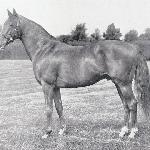 Hyperion