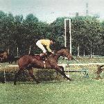 Krezus - Derby 1989<br />&copy; Fot. Małgorzata Caprari