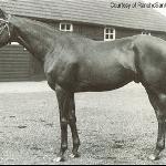 Blenheim II