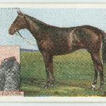 Colorado