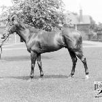 Colorado<br />&copy; horseracing museum
