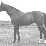 Aquino / Aquino II