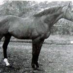 Aquino / Aquino II