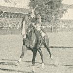 Skarb<br /><i>Jeździec i Hodowca 1939</i>