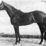Conor Pass